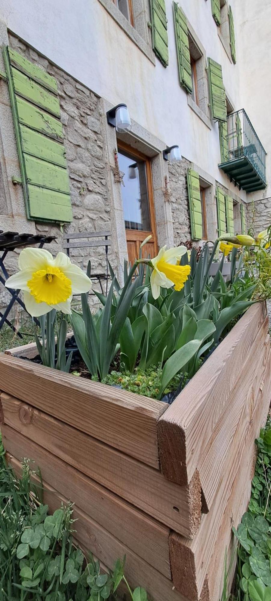 Le Grenier Des Moineaux Bed and Breakfast Font-Romeu-Odeillo-Via Esterno foto